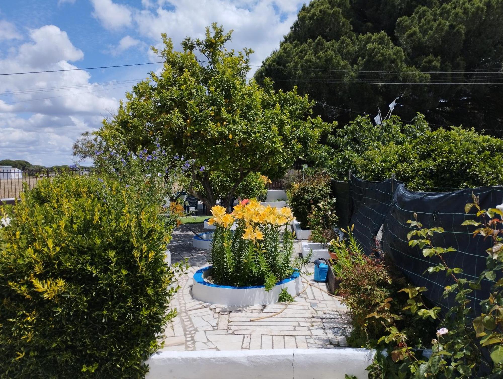 Monte Sol Nascente Villa Grandola Ngoại thất bức ảnh